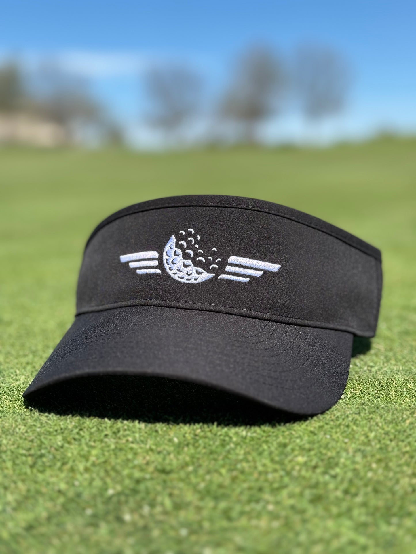SxP Visor